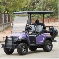 A1s2+2/FF Foldable Seaters Electric Golf Cart for Sale