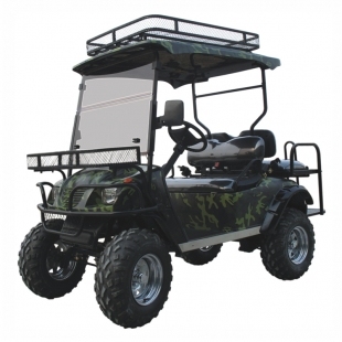 Lifted Golf Cart, Electric, 4 Seats with Foldable Seat, Eg2020asz Image1