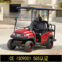 4 Seater Electric Golf Cart with Foldable Seat