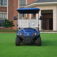 Aluminium Chassis 2 Seater Electric Golf Cart