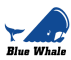Hebei Blue Whale Import and Export Trading Co., Ltd.