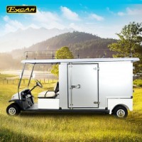 Hotel Buggy Electric