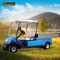 2 Seats Electric Gol