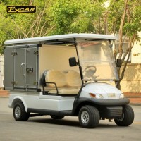 2 Seats Electric Gol