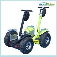 Newest Factory Self Balancing Scooter Two Wheels Golf Carts