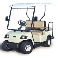 4 Person Electric Mi