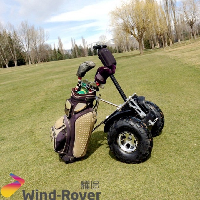 Wind Rover Single Seat Golf Car Self Balance Electric Car 2 Wheels Golf Cart Image1