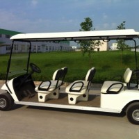 2-6 Seater Electric Golf Cart with Lithium Battery