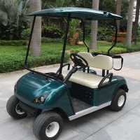 Ce Approved Golf Car