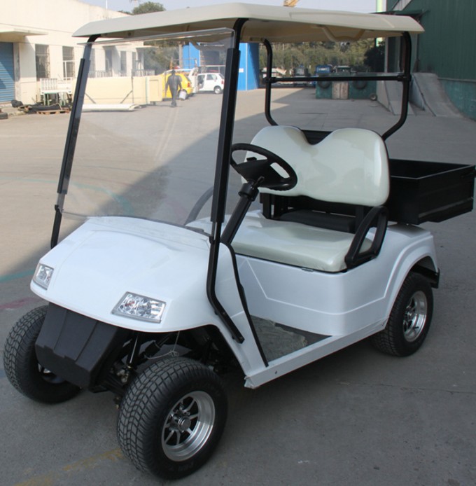 Two Seat Electric Golf Cart with Cargo Box Image1
