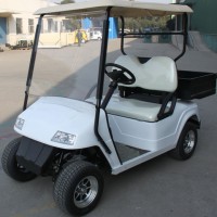 Two Seat Electric Golf Cart with Cargo Box