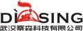 Wuhan Dising Technologies Co., Ltd.