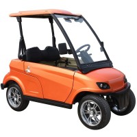 2 Person Electric Golf Cart Street Legal (DG-LSV2)