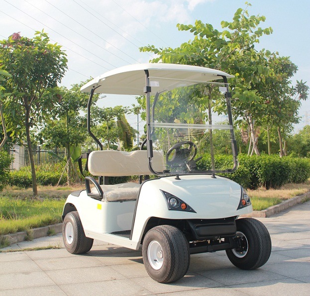 2 Seats Golf Course Battery Powered Carts with CE (DG-C2) Image1