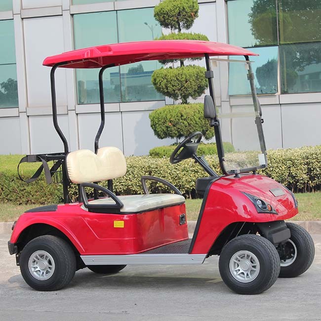 Ce Approved Electric Golf Cart 2 Seater with OEM Manufacturers Service Dg-C2 Image1