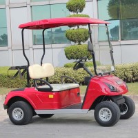 Ce Approved Electric Golf Cart 2 Seater with OEM Manufacturers Service Dg-C2