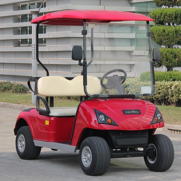 CE Approved Lead Battery Powered 2 Seater Electric Golf Cart (DG-C2) Image1