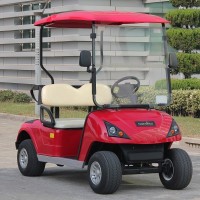 CE Approved Lead Battery Powered 2 Seater Electric Golf Cart (DG-C2)