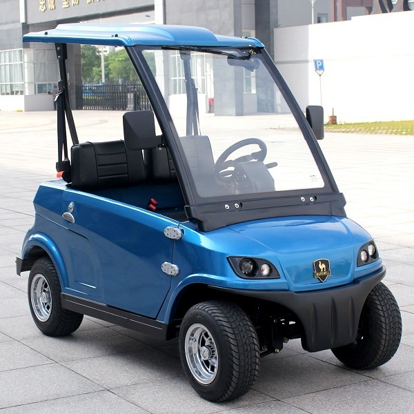 Mini 2 Seats Street Legal Golf Cart with Ce (DG-LSV2) Image1