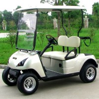 Battery Powered 2 Seater Electric Golf Cart (DG-C2)