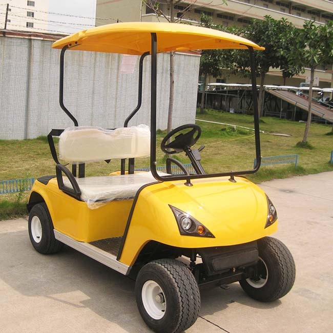 Ce Approved OEM Service Provided Two Seats Electric Golf Cart Dg-C2 Image1