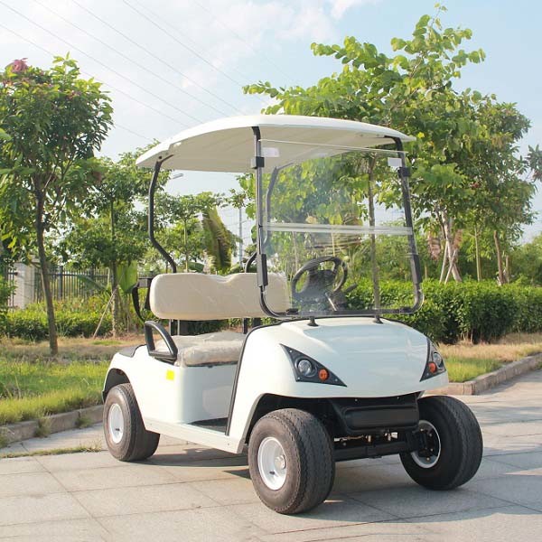 CE Certificated Factory Cheap Electric Golf Cart (DG-C2) Image1