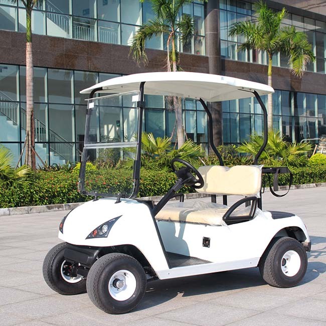 CE Approve Electric Cheap Golf Cart with 2 Seater (DG-C2) Image1