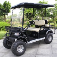 CE Approve Electric Hunting Buggy Cart with 2 Seats (DH-C2)