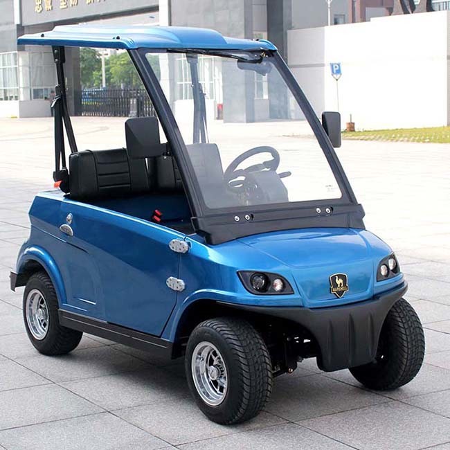 New Design Electric Household Cart (DG-LSV2) with 2 Seater Image1