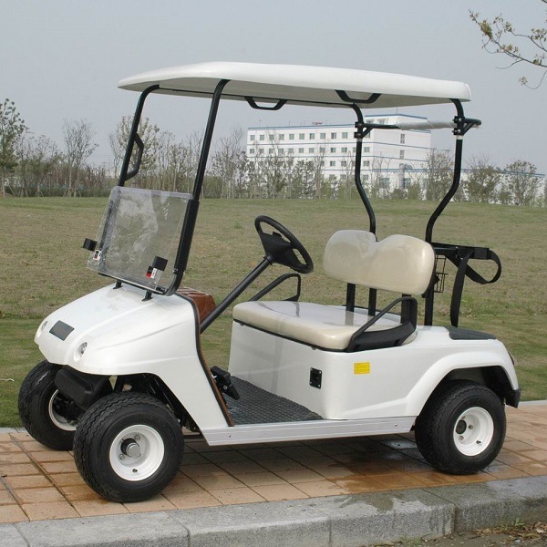 CE Approve Electric 2 Person Golf Cart for Sale (DG-C2) Image1