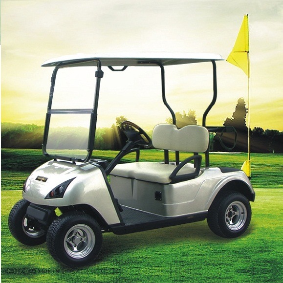 2-Person Lead Battery Electric AC System Golf Cart (DG-C2) Image1