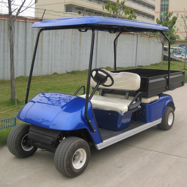 Chinese Custom Electric Utility Cart with Cargo Box (DU-G4L) Image1