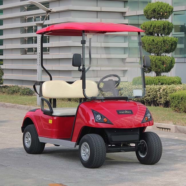Luxury 2 Seater Electric Golf Cart for Sale with CE Certificate Dg-C2 Image1