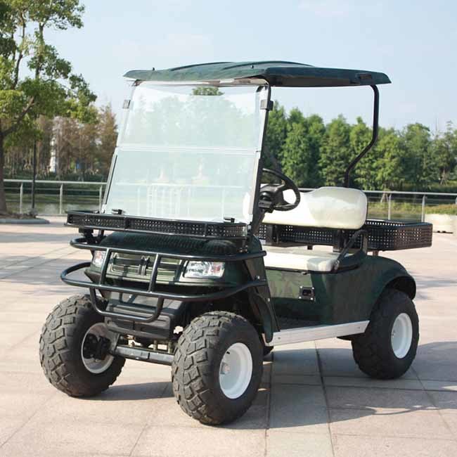 CE Approval 2 Seater Electric Battery Operated Utility Cart (DH-C2) Image1
