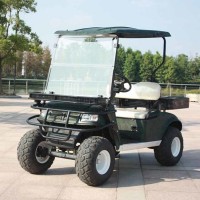 CE Approval 2 Seater Electric Battery Operated Utility Cart (DH-C2)
