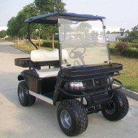 China OEM Manufacturers 2 Seats Hunting Golf Carts (DH-C2)