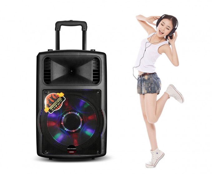 Factory Supply 10 Inches Plastic Trolley PRO Audio with Battery Image1