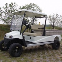 Ce-Approved 4 Wheels Chinese Manufacture 2 Passenger Electric Lifted Cargo Cart with PP Engineering