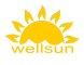 Chongqing Wellsun Machinery Co., Ltd.
