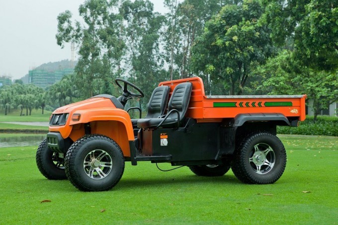 Chinese Golf Cart with Gears Cargo Bed Image1