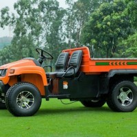 Chinese Golf Cart with Gears Cargo Bed