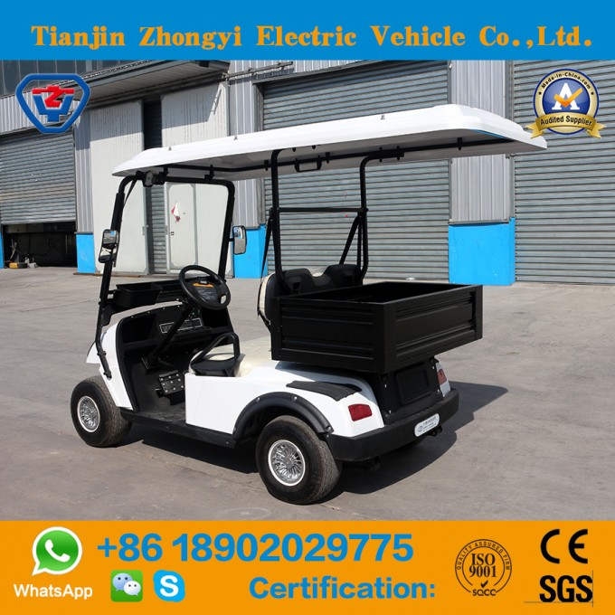 New Design Mini 2 Seats Electric Golf Cart with Luggage Box in The Back Image1