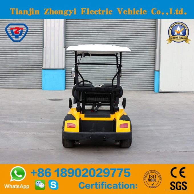 New Design Mini 2 Seater Electric Golf Cart with Ce Certificate Image1