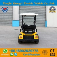New Design Mini 2 Seater Electric Golf Cart with Ce Certificate