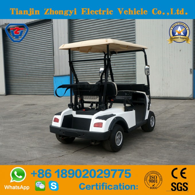 Mini Utility Electric 2 Seater Golf Cart with Ce Certification Image1