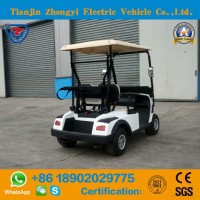 Mini Utility Electric 2 Seater Golf Cart with Ce Certification