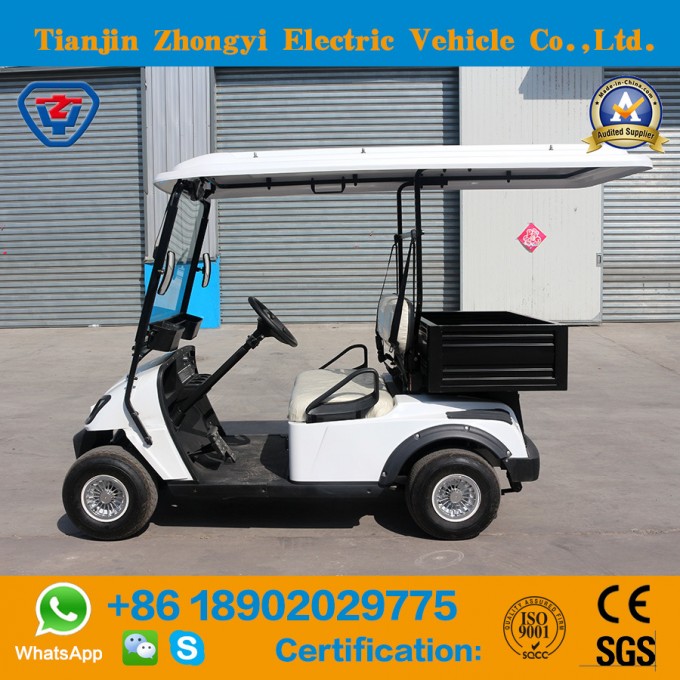 New Brand 2 Seats Mini Golf Cart with Bucket for Resort Image1