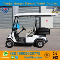 New Brand 2 Seats Mini Golf Cart with Bucket for Resort