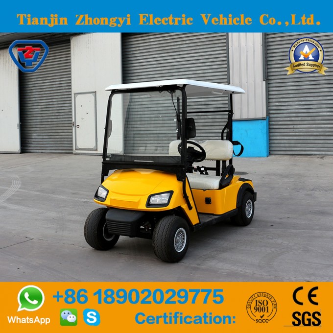 2017 Zhongyi New 2 Seats Mini Electric Cart with High Quality Image1