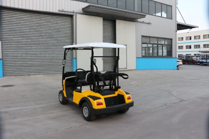 New Designed Mini 2 Seats Golf Cart with Ce Certificate Image1